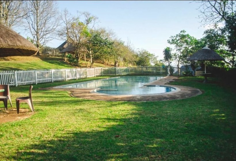 호텔 Phezulu Safari Lodge