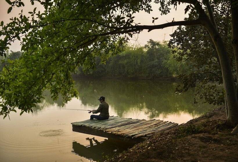 Отель Syna Tiger Resort Bandhavgarh