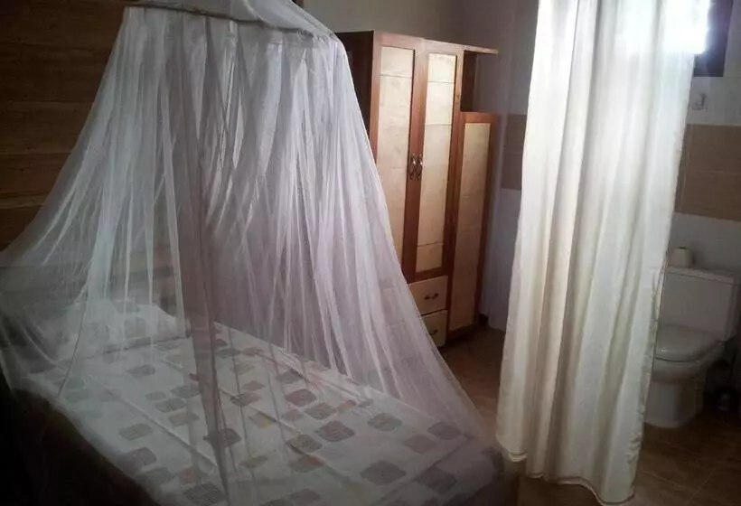 تختخواب و صبحانه Albergaria Porcelana