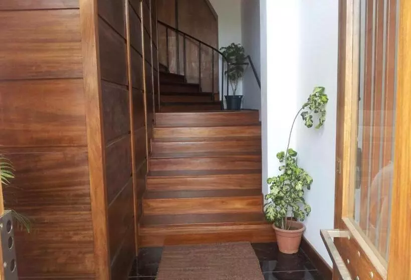 تختخواب و صبحانه Albergaria Porcelana