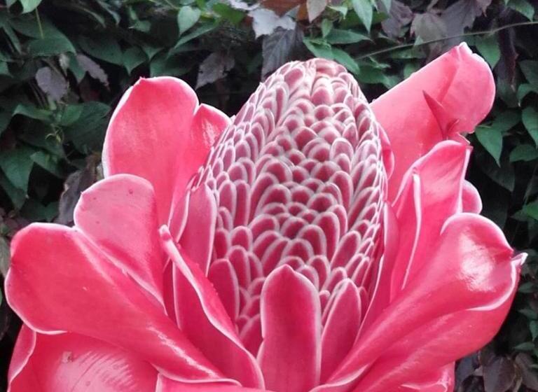 민박 Albergaria Porcelana