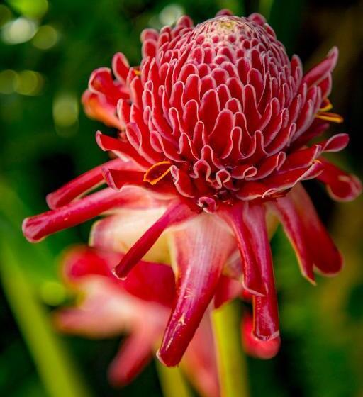 민박 Albergaria Porcelana