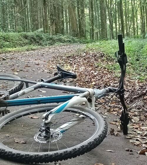 酒店 Bedugul Camping