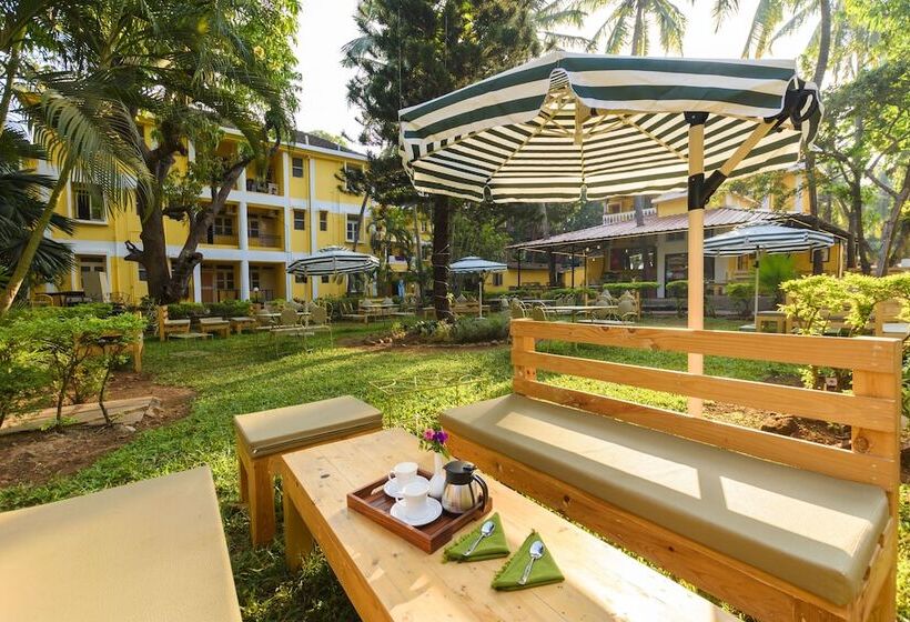 فندق Oliva Resort