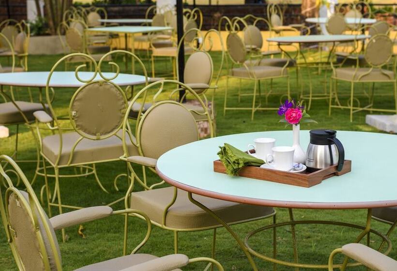 فندق Oliva Resort