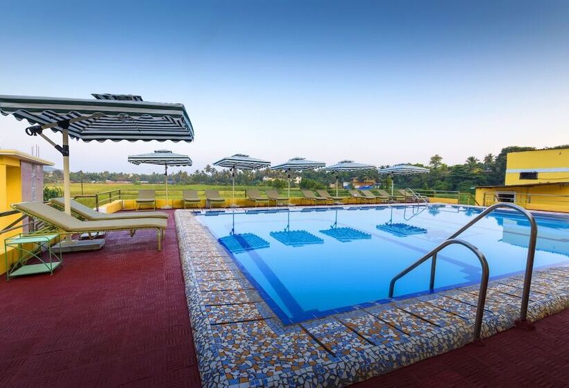 فندق Oliva Resort