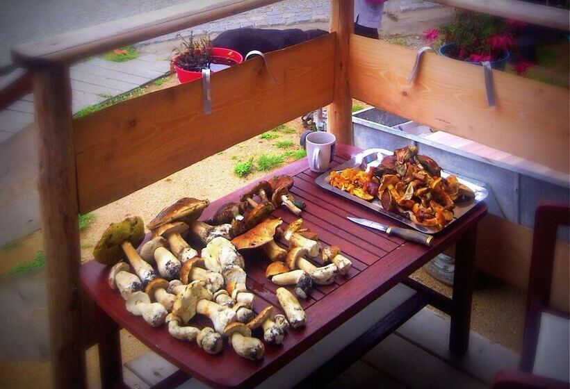 בית מלון כפרי B&b Dom Z Bali