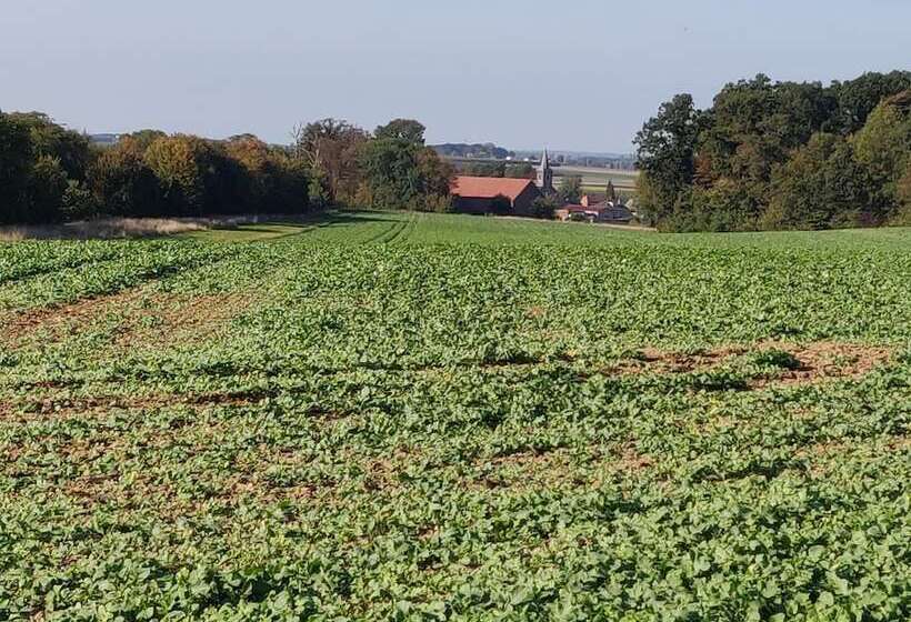 ペンション Wetterdelle