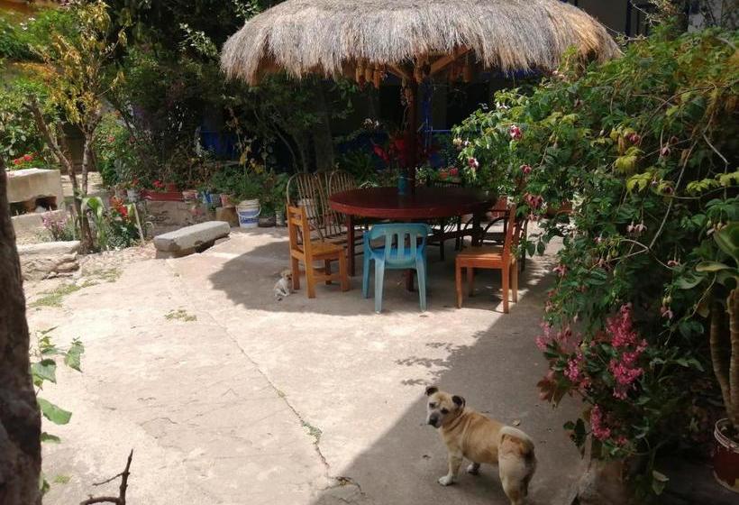 Hospedaje El Tambo B&b