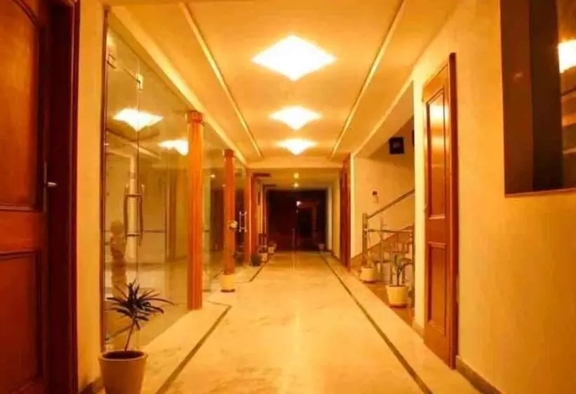 Hotel Padmini Palace