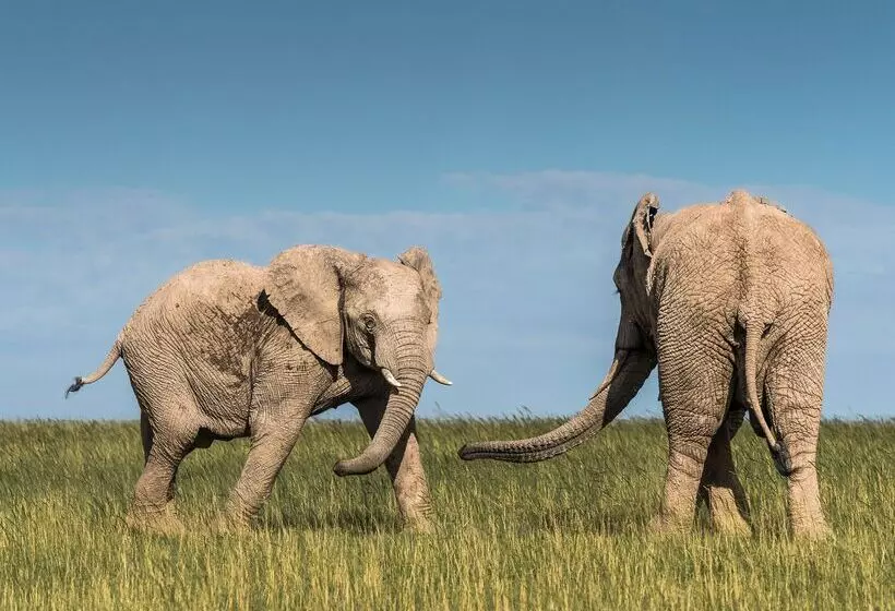 Hotelli Shamwari Eagles Crag