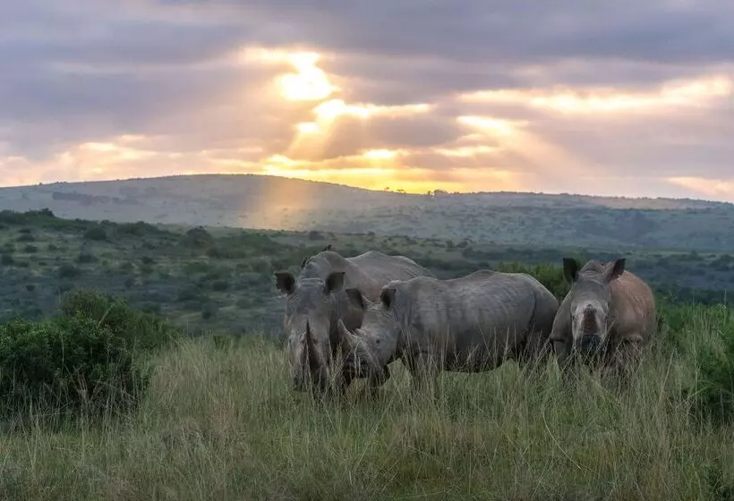 Hotelli Shamwari Eagles Crag