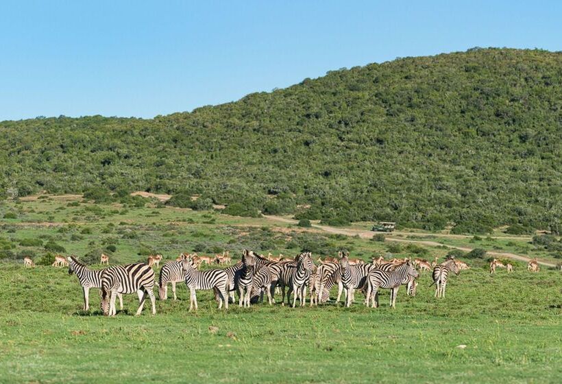 فندق Shamwari Eagles Crag