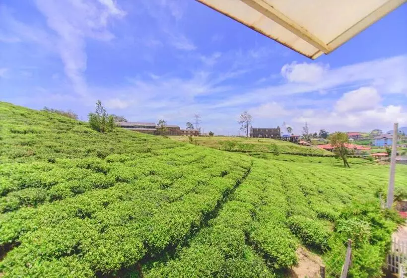 ペンション Sarah Cottage  Nuwara Eliya