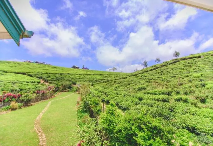 ペンション Sarah Cottage  Nuwara Eliya