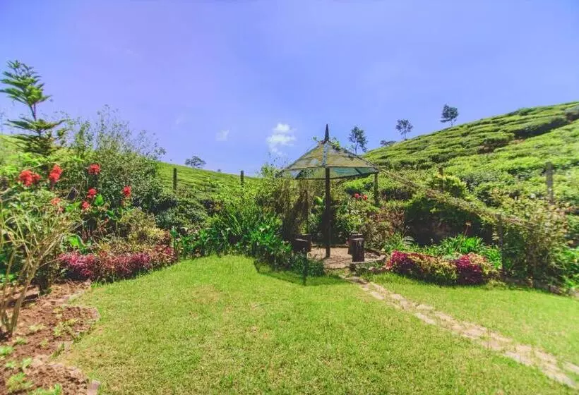 ペンション Sarah Cottage  Nuwara Eliya
