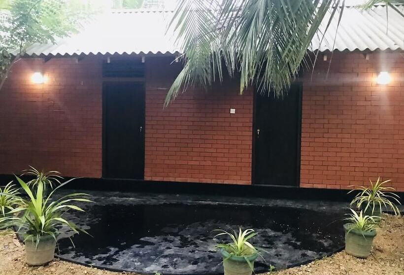 Soba Ayurvedic Hostels