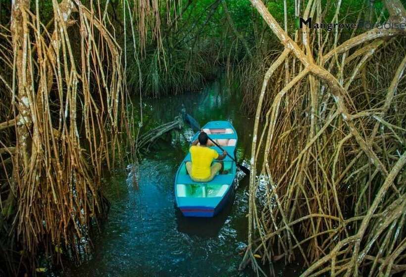 Soba Ayurvedic Hostels