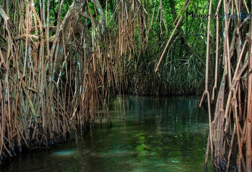 Soba Ayurvedic Hostels