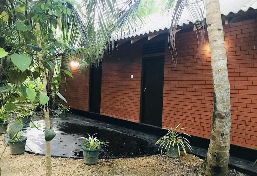 Soba Ayurvedic Hostels