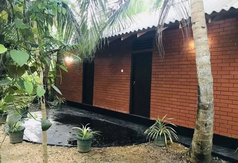 Soba Ayurvedic Hostels
