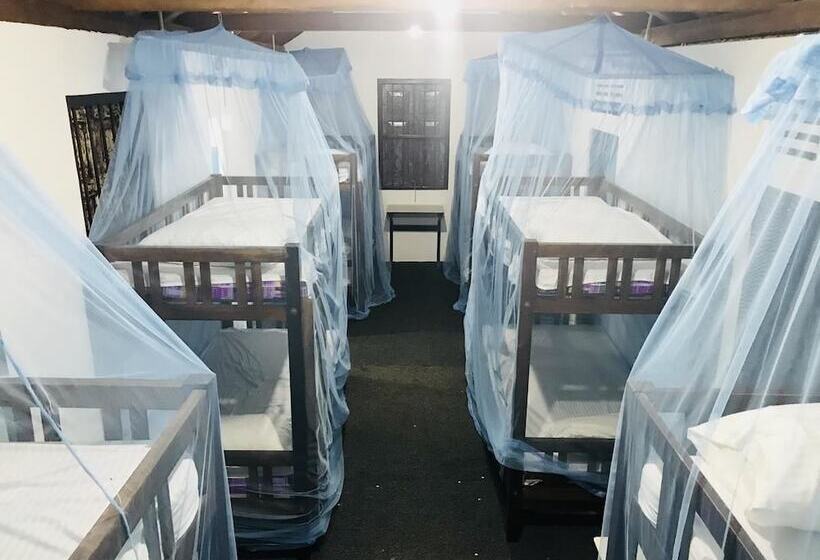 Soba Ayurvedic Hostels