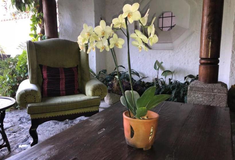 تختخواب و صبحانه Palo Santo