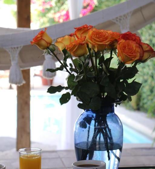 تختخواب و صبحانه Palo Santo