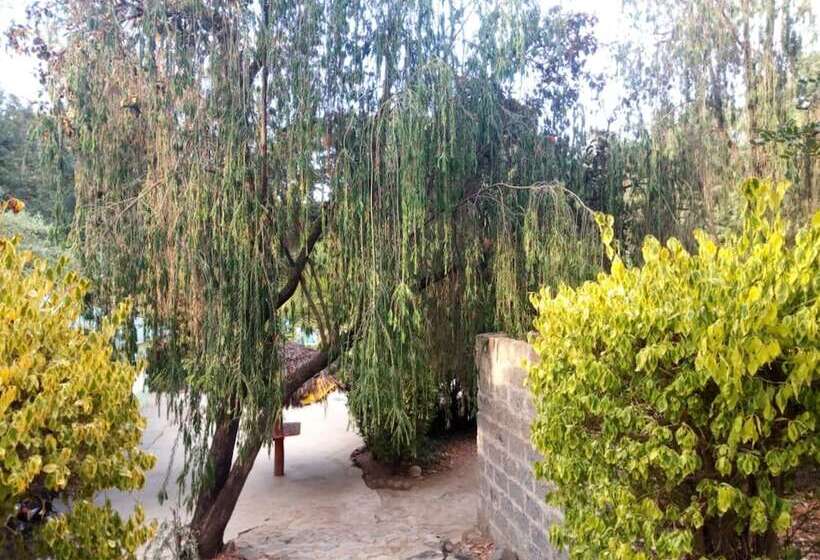 هتل Family Comfort