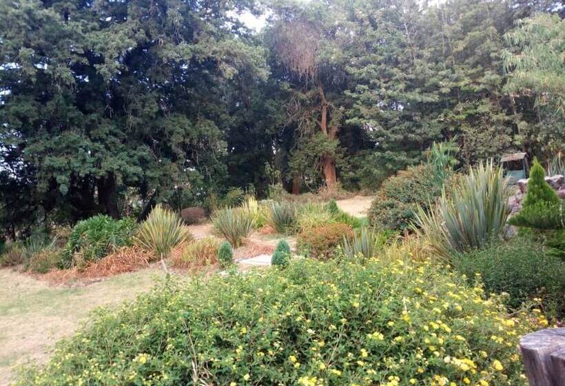 هتل Family Comfort