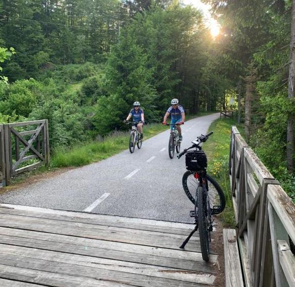 Bed and Breakfast Villa Nena