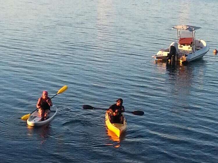 Hotell Gecko Lodge Fiji