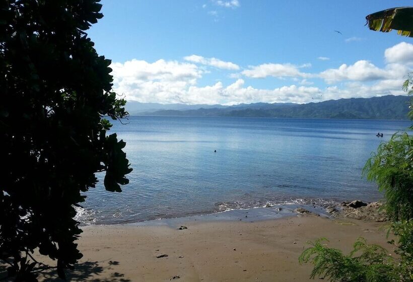Hotell Gecko Lodge Fiji