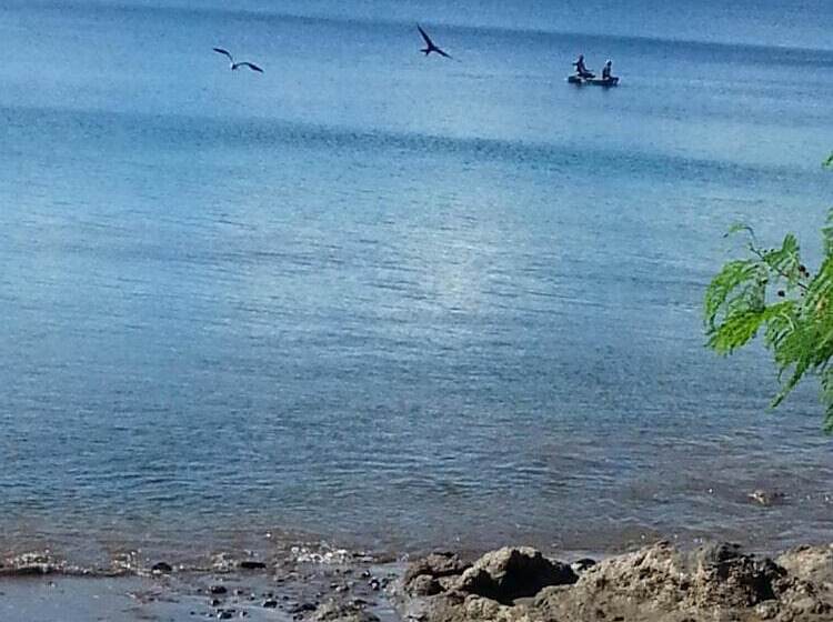 Hotell Gecko Lodge Fiji