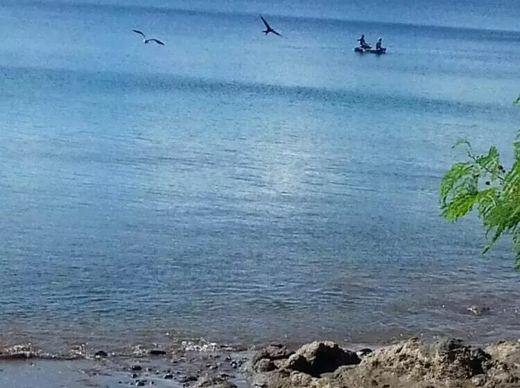 Hotelli Gecko Lodge Fiji