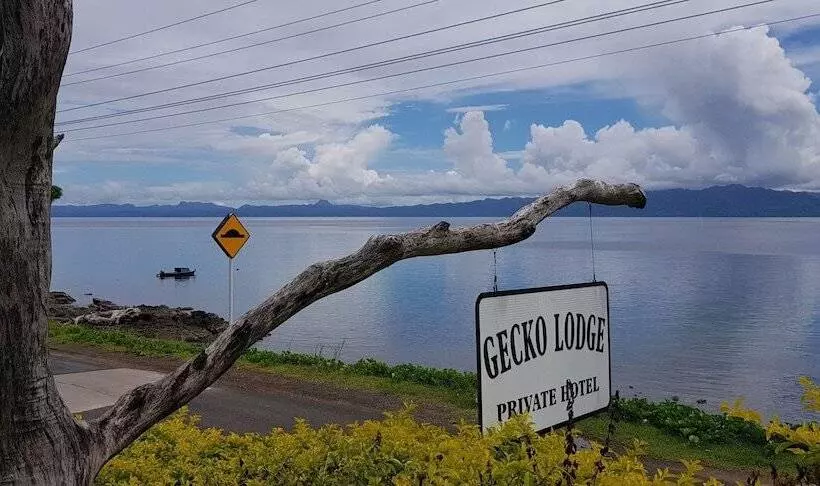 Hotelli Gecko Lodge Fiji