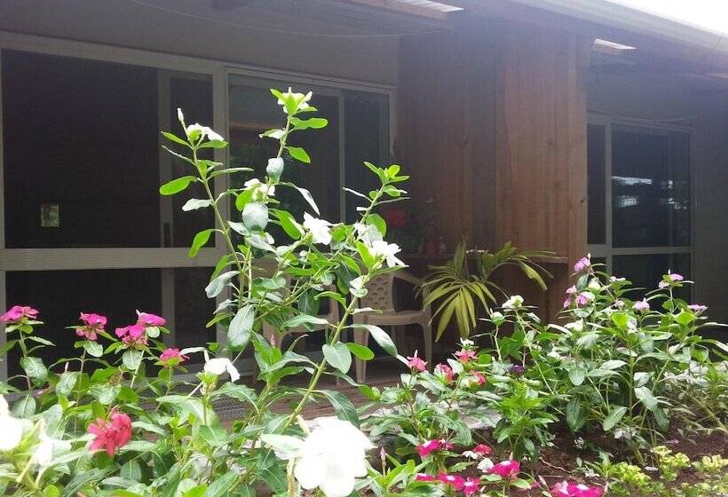 Hotell Gecko Lodge Fiji