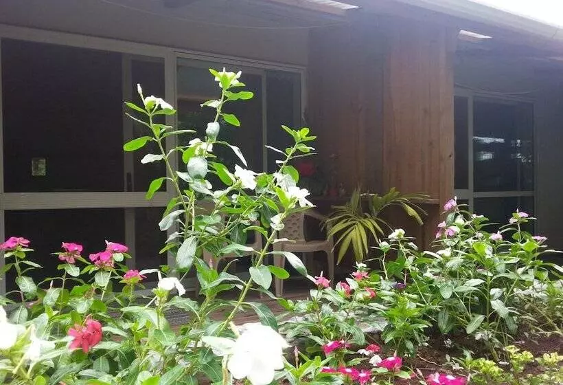 Hotelli Gecko Lodge Fiji