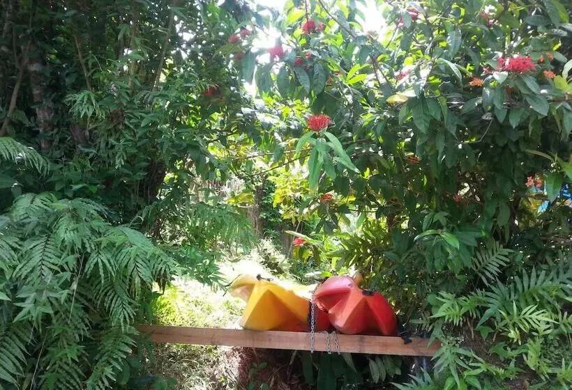 Hotelli Gecko Lodge Fiji