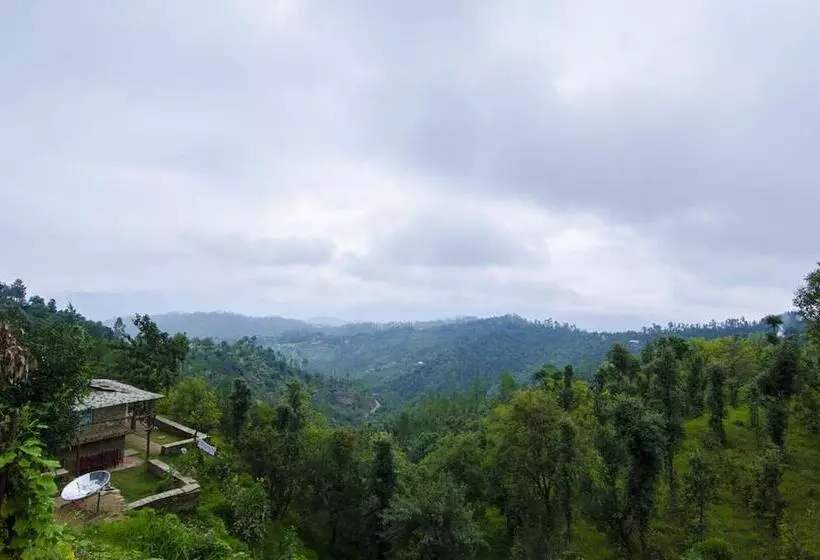 هتل Shukun Homestay