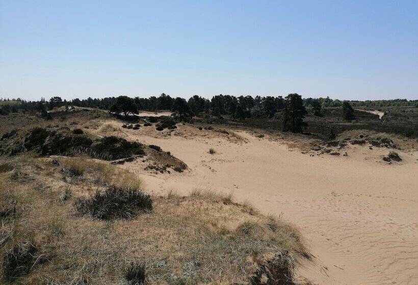 פנסיון Aagaarden