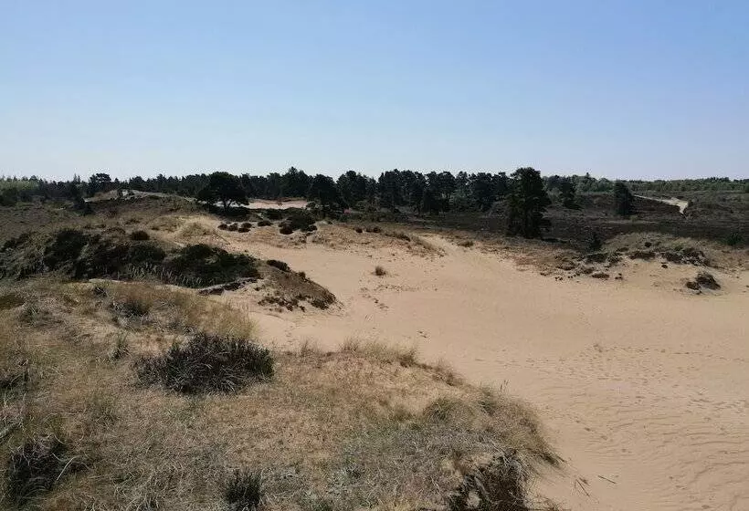 پانسیون Aagaarden