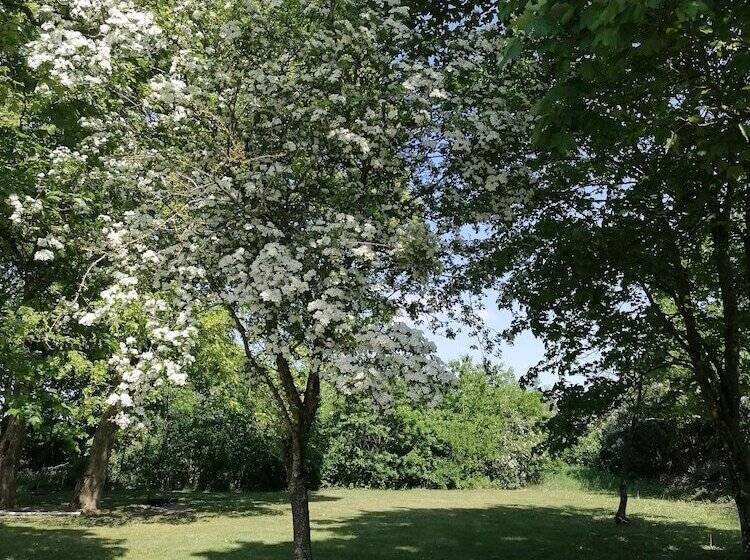 פנסיון Aagaarden