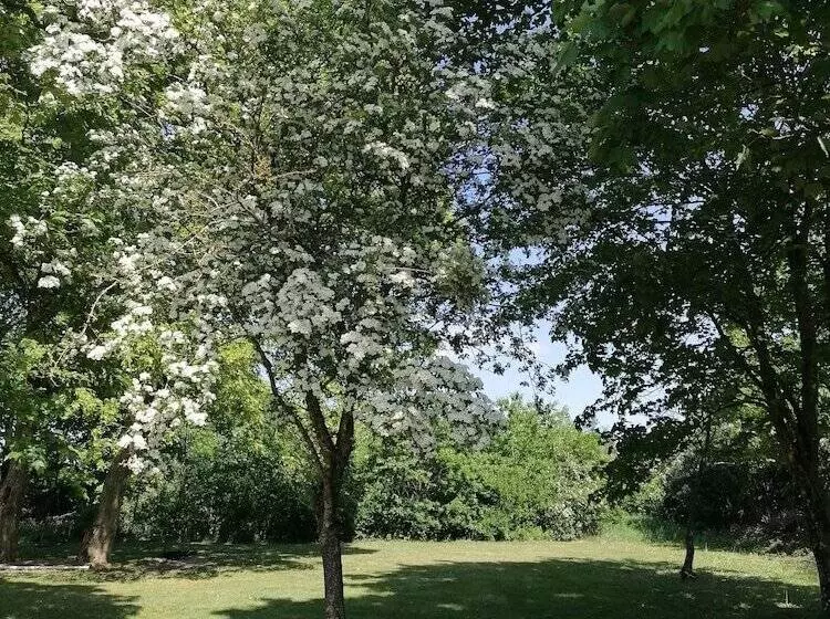 پانسیون Aagaarden