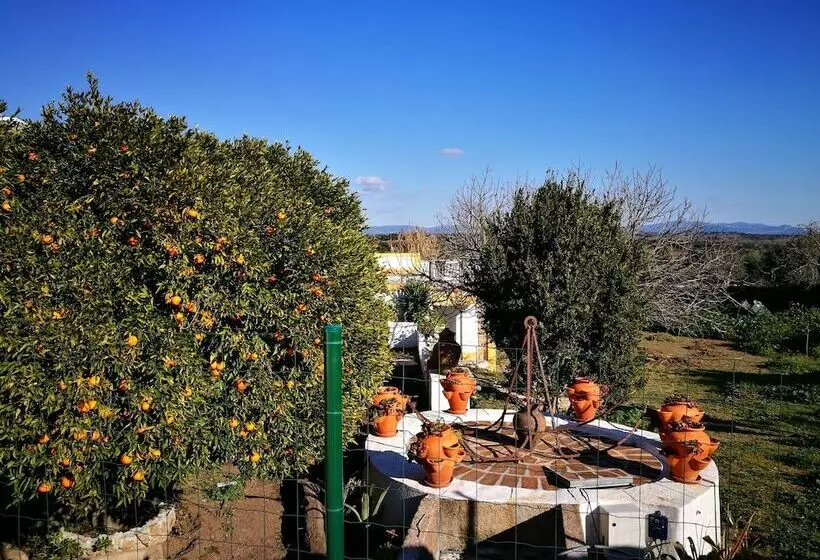 پانسیون Casa Do Peso