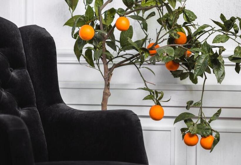 ペンション Matejki 8