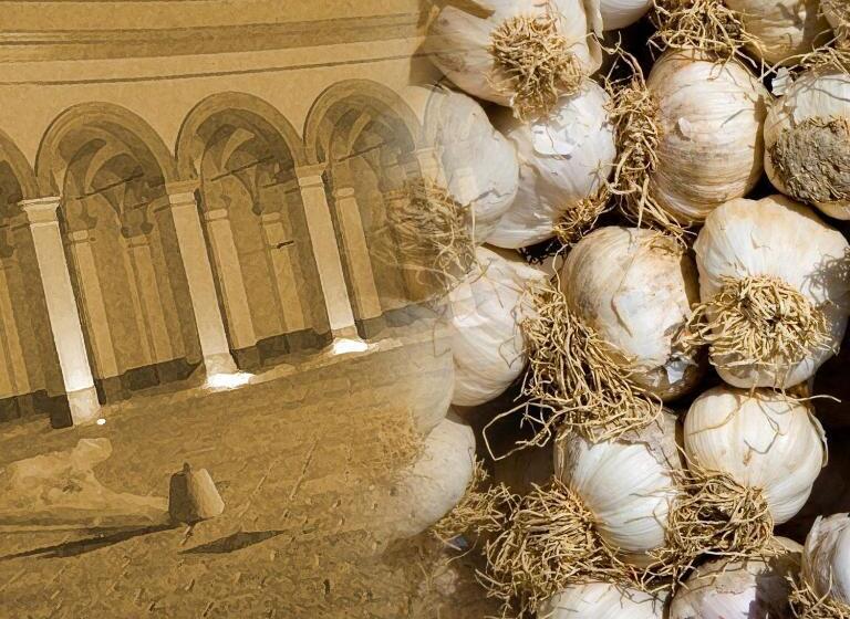 B&b Barone Sieri Pepoli