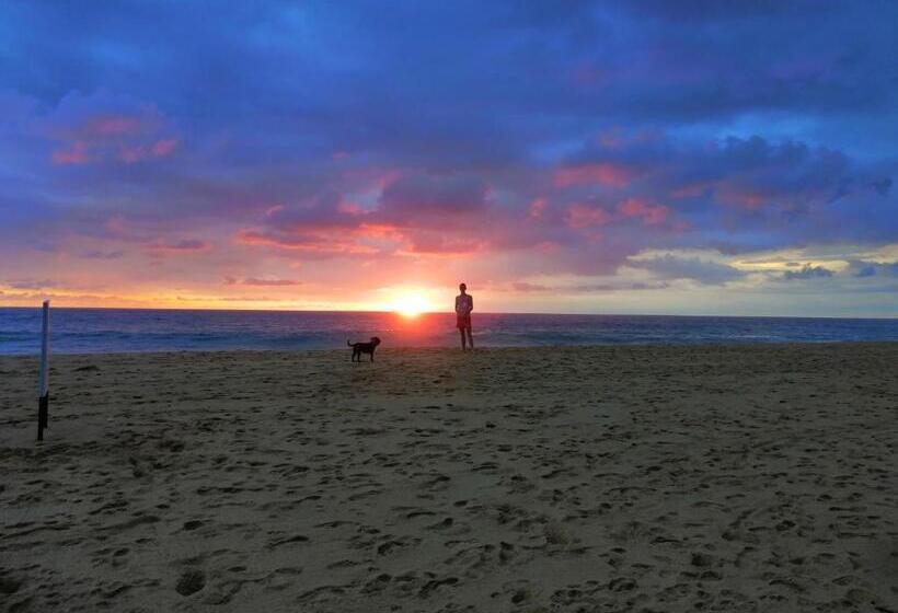 Отель Thambili Cabanas