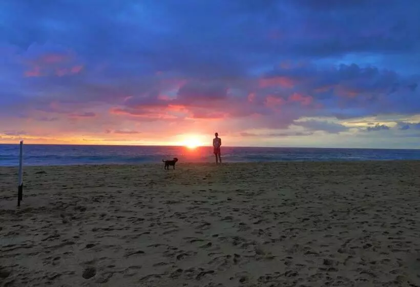 ホテル Thambili Cabanas