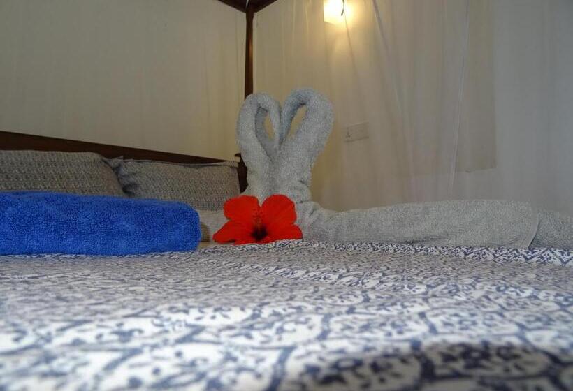 Отель Thambili Cabanas